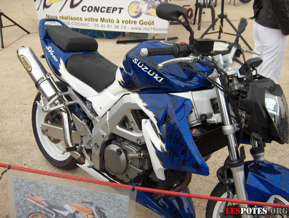 Photographie : SV 650 (peint. perso)