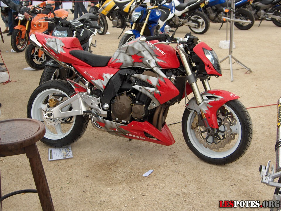 Photographie : Z750 (peint. perso)