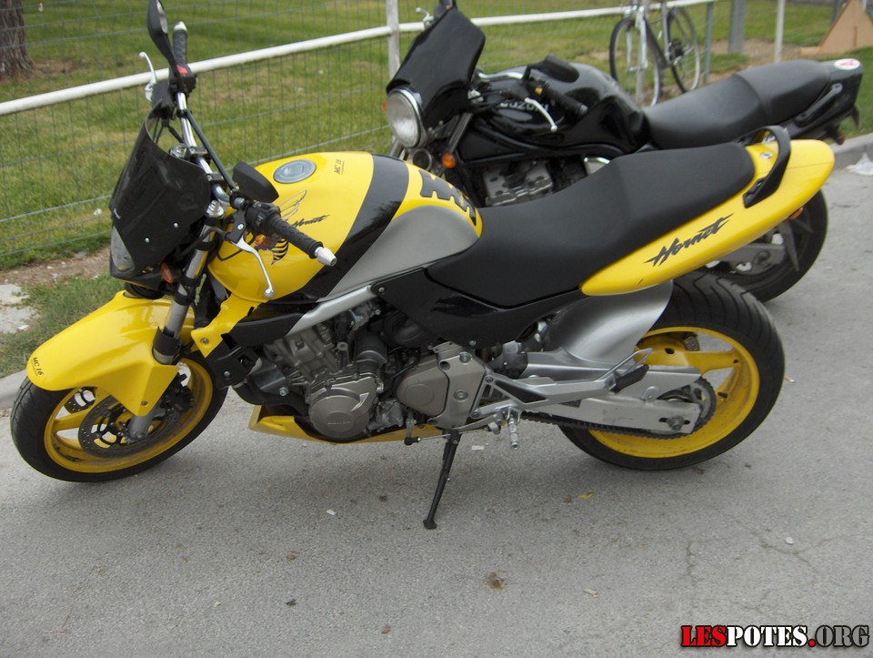 Photographie : Hornet (jaune 2)