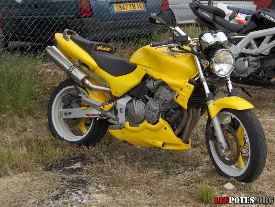 Photographie : Hornet (jaune 3)