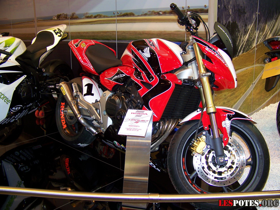 Photographie : Honda Horner CUP