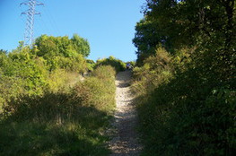Ludo cale en haut