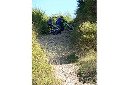 Ludo cale en haut 3