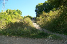 Ludo cale en haut 4