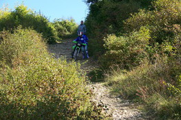Ludo cale en haut 5