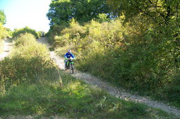 Ludo cale en haut 6