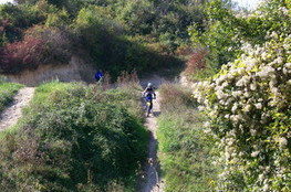 Paulo descend