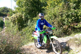 Ludo monte