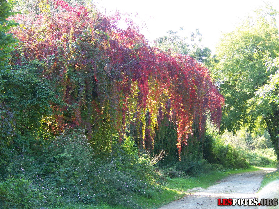 Photographie : Instant NATURE