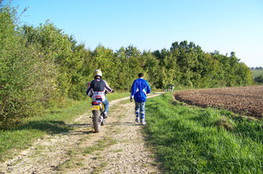 650 KLR qui ne démarre pas