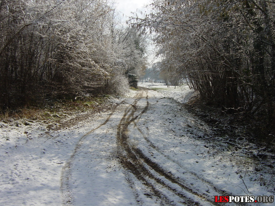 Photographie : chemin
