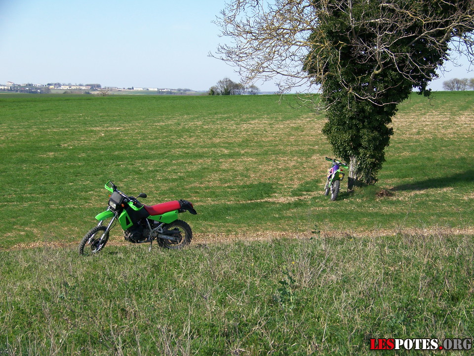 Photographie : La pause nature