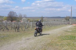 &ccedil;a roule !