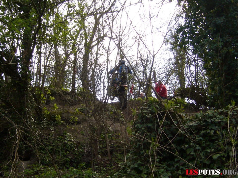 Photographie : Dans les bois