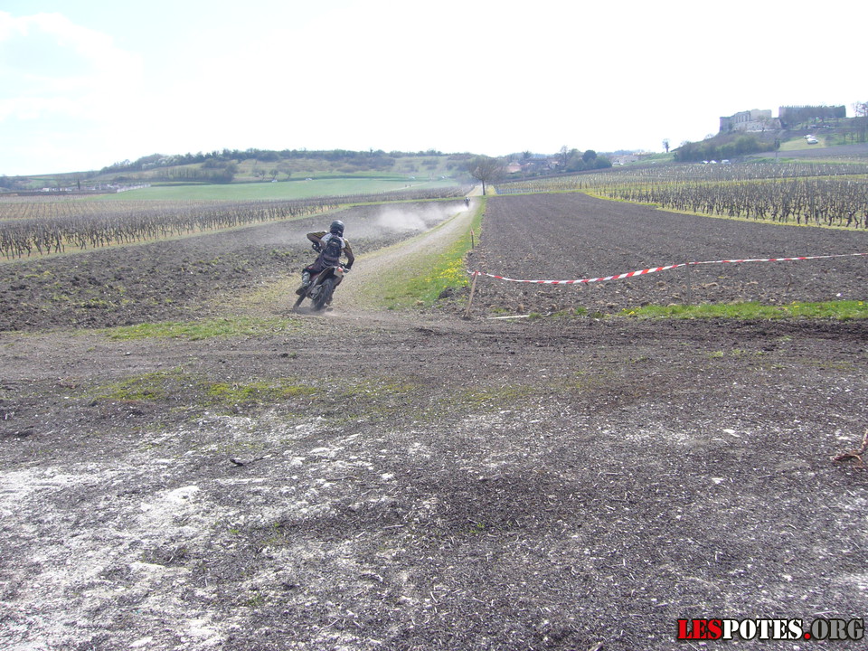Photographie : virage dans les vignes