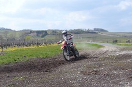 N&deg;56