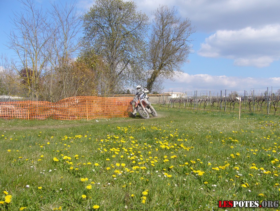 Photographie : N&deg;441