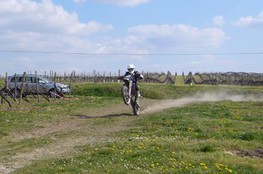 N&deg;443