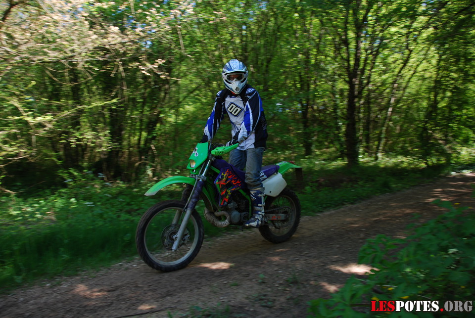 Photographie : Coucou