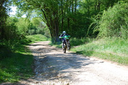 Wheeling - Ludo