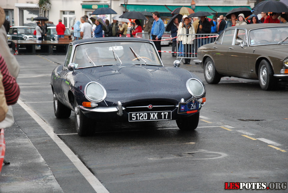 Photographie : Jaguar
