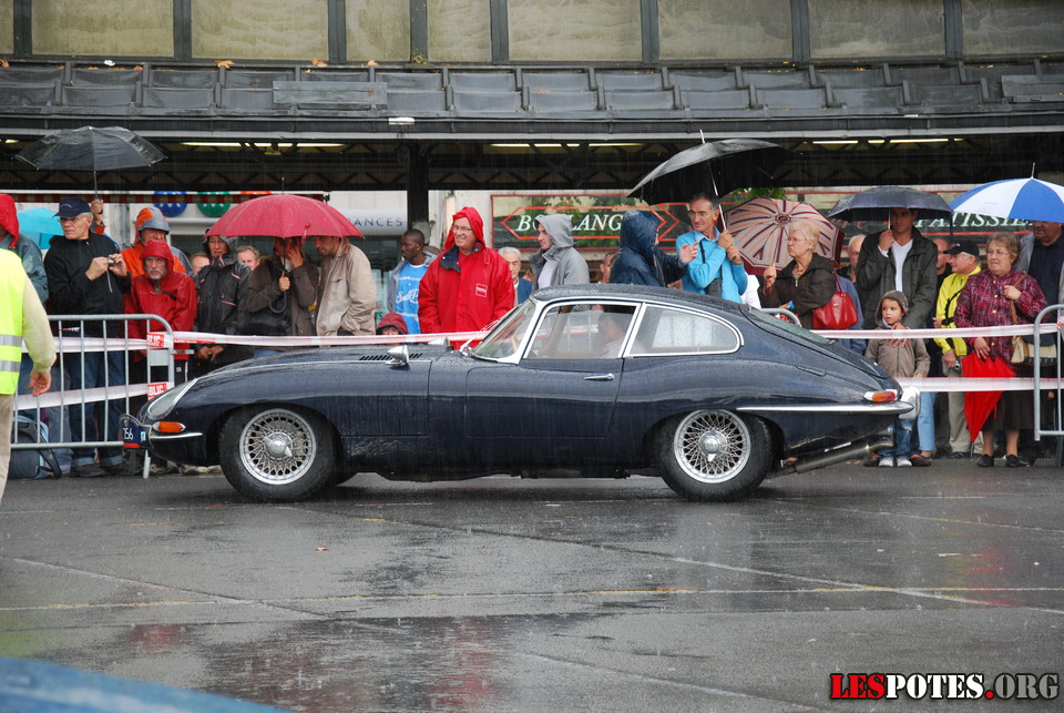 Photographie : Jaguar