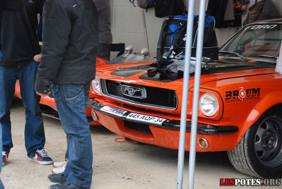 Photographie : Paddock - Mustang