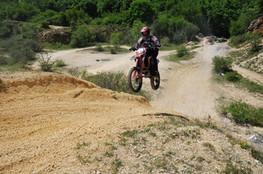 Saut - Elrico