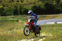Saut - Alex