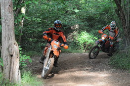 Bois 149 et 148