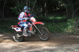 Bois 144