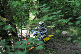 L'&eacute;quipe dans les bois