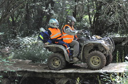 Bois quad