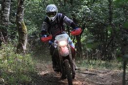 Bois virage 114