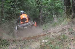 Bois virage quad