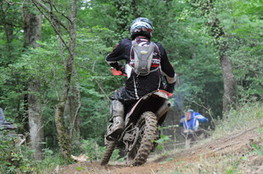 Bois virage