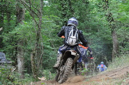 Bois virage