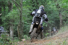 Bois virage