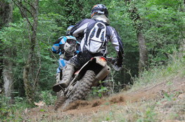 bois virage