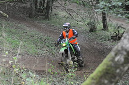 Bois virage marshall