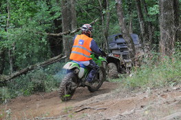 Bois virage marshall