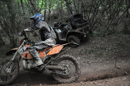 Bois virage