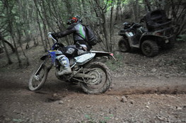 Bois virage 152