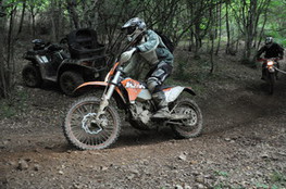 Bois virage