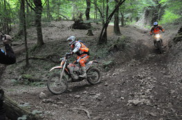 Bois mont&eacute;e marshalls