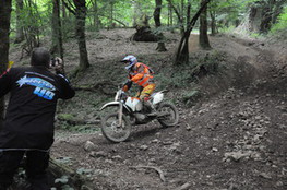 Bois virage marshall