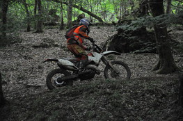 Bois mont&eacute;e marshall