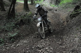 Bois mont&eacute;e 070