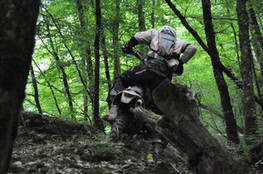 Bois mont&eacute;e 070
