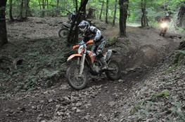 Bois mont&eacute;e 154